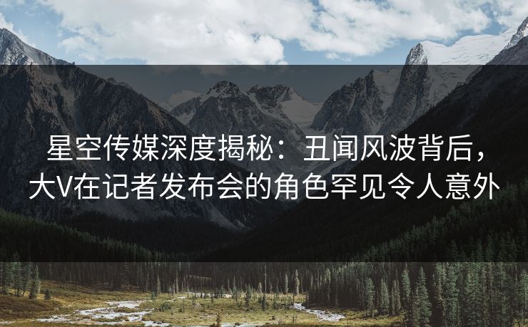星空传媒深度揭秘:丑闻风波背后,大V在记者发布会的角色罕见令人意外 星空传媒深度揭秘:丑闻风波背后,大V在记者发布会的角色罕见令人意外