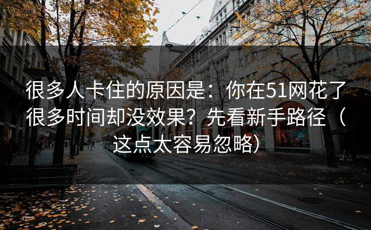 很多人卡住的原因是：你在51网花了很多时间却没效果？先看新手路径（这点太容易忽略）